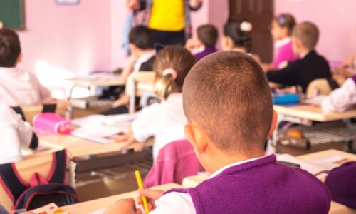 97ee24ca-7d20-4964-8c08-3440895b6b98